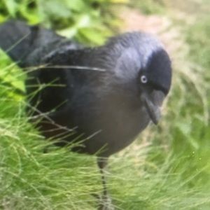 Meet your Posher, Sabrina